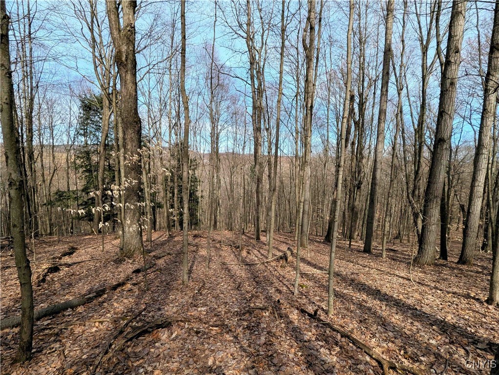 Ryan Hollow Road, Cohocton, New York image 29