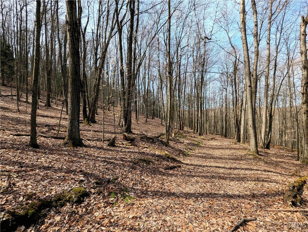Ryan Hollow Road, Cohocton, New York image 20