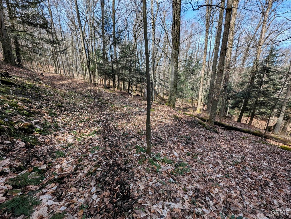 Ryan Hollow Road, Cohocton, New York image 15