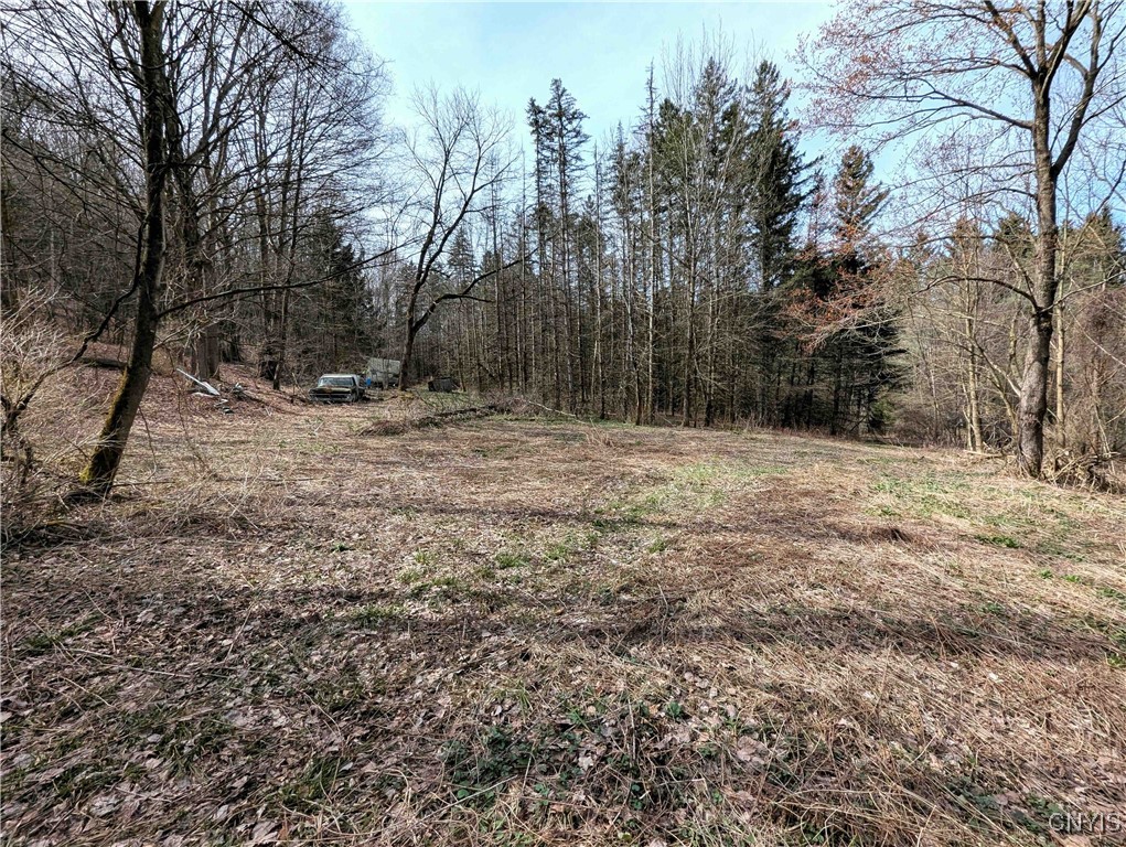 Ryan Hollow Road, Cohocton, New York image 8