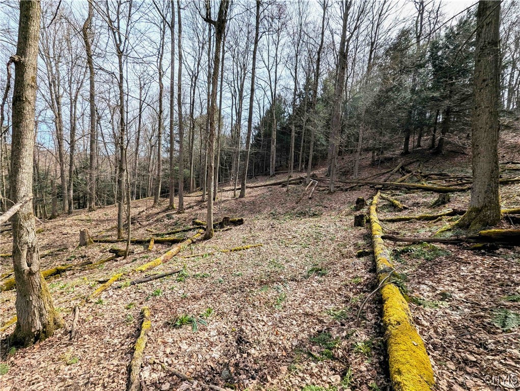 Ryan Hollow Road, Cohocton, New York image 26
