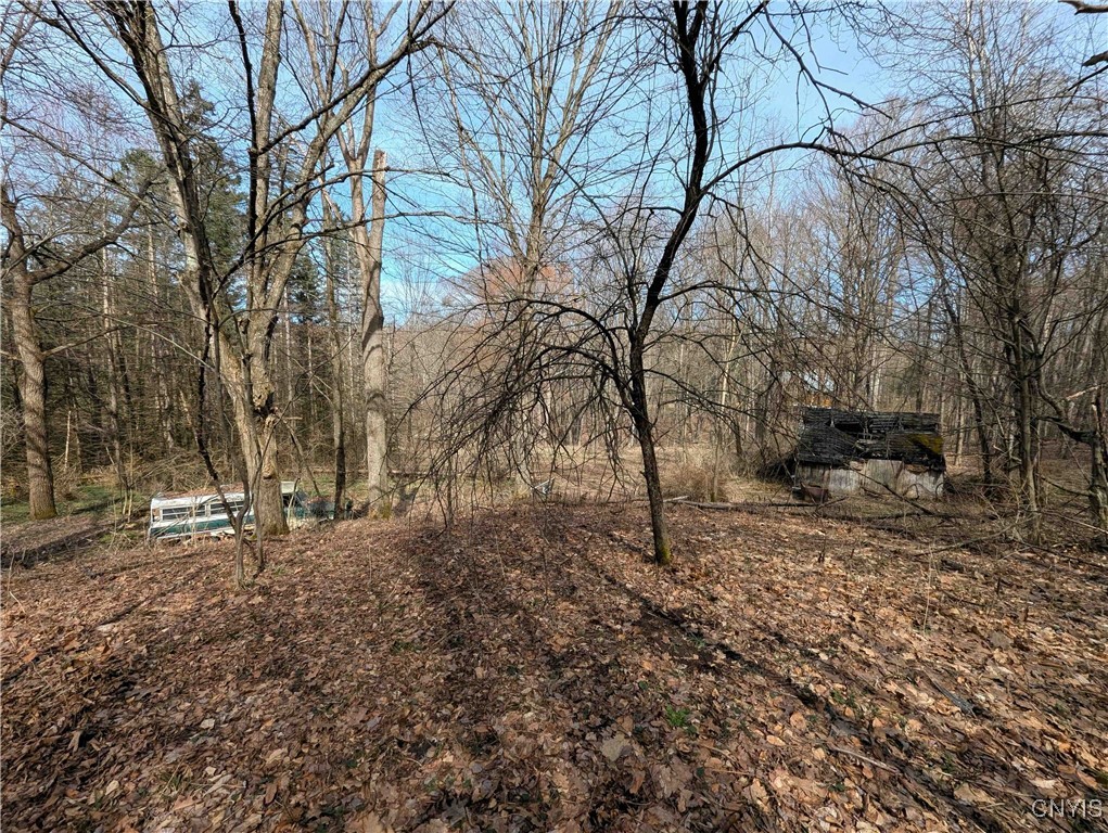 Ryan Hollow Road, Cohocton, New York image 12