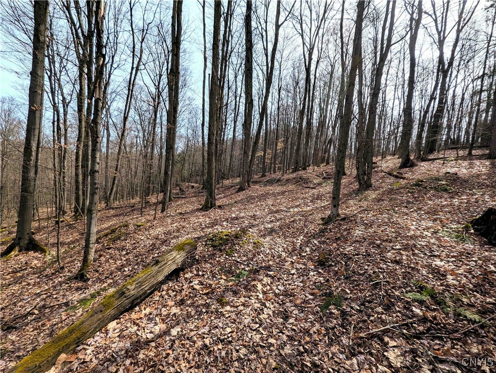 Ryan Hollow Road, Cohocton, New York image 33
