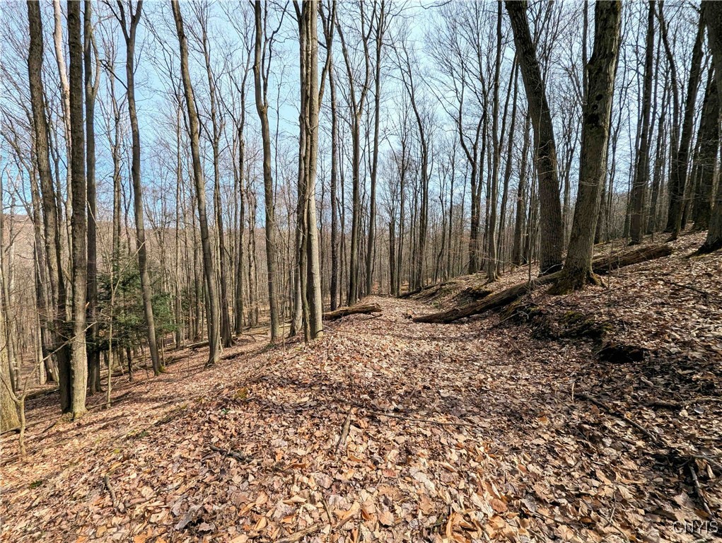 Ryan Hollow Road, Cohocton, New York image 32