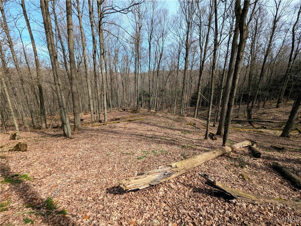Ryan Hollow Road, Cohocton, New York image 25