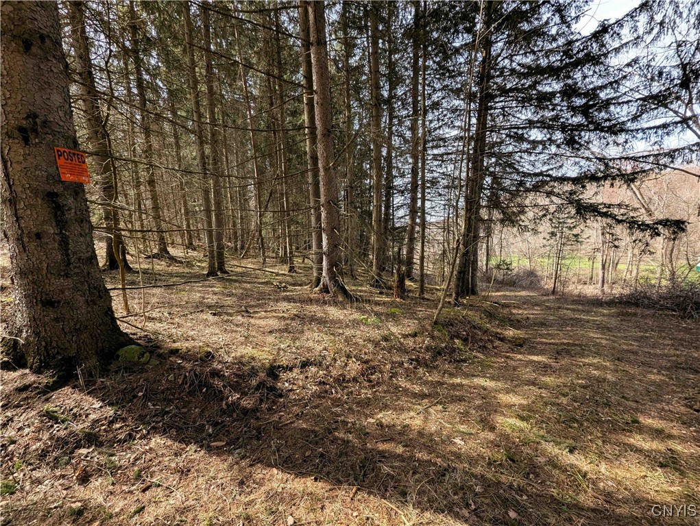Ryan Hollow Road, Cohocton, New York image 3