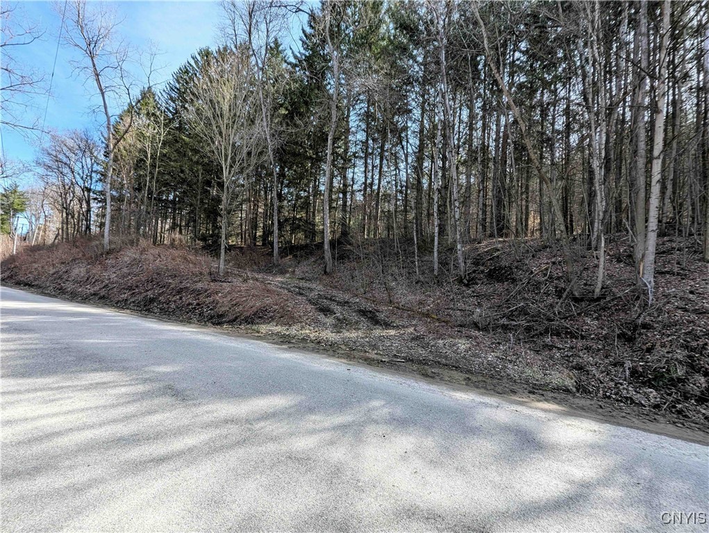 Ryan Hollow Road, Cohocton, New York image 36
