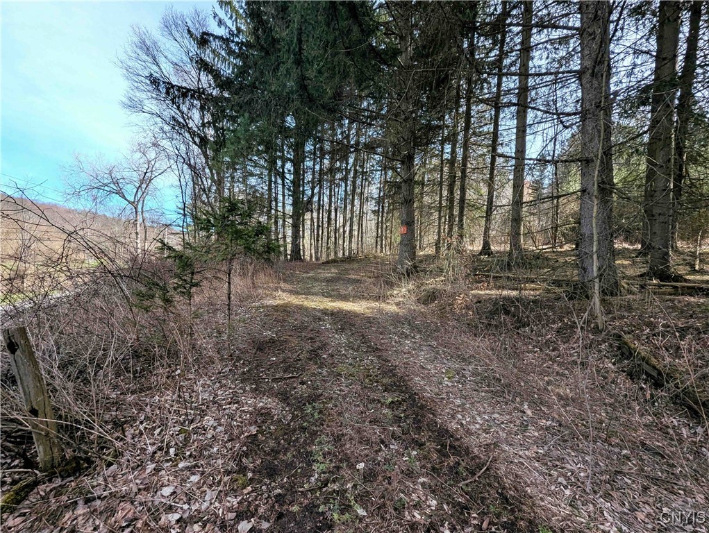 Ryan Hollow Road, Cohocton, New York image 2