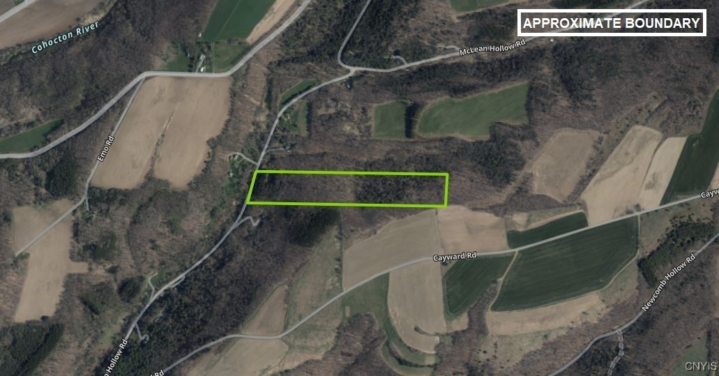 Ryan Hollow Road, Cohocton, New York image 39