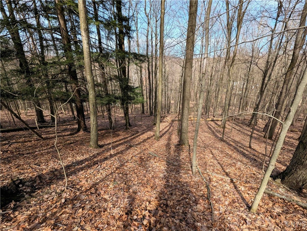 Ryan Hollow Road, Cohocton, New York image 28