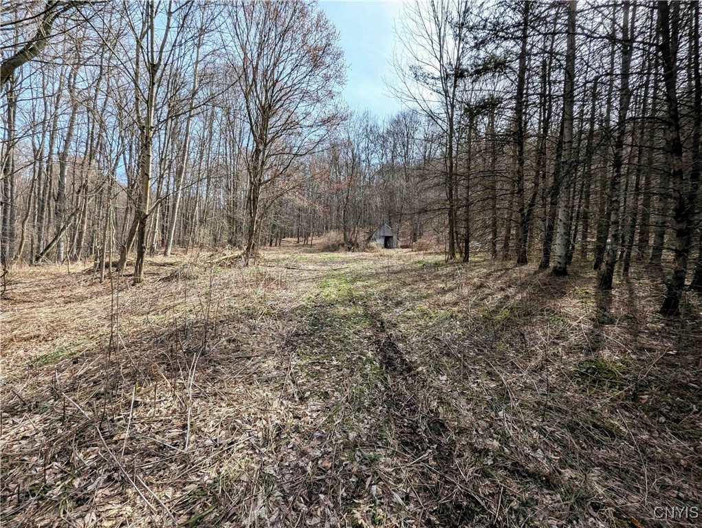Ryan Hollow Road, Cohocton, New York image 7