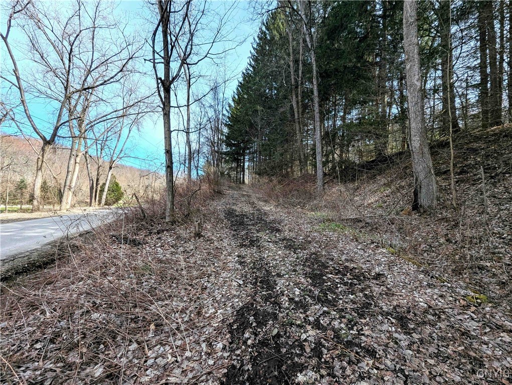Ryan Hollow Road, Cohocton, New York image 1