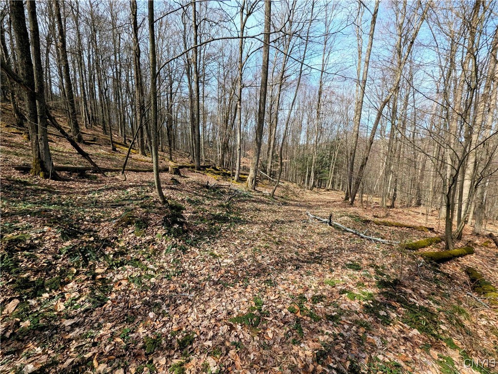 Ryan Hollow Road, Cohocton, New York image 16