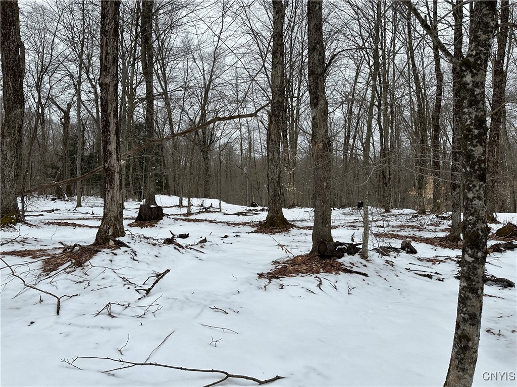 3267 Osceola Road, Lewis, New York image 34