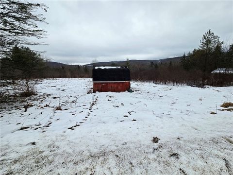 Vacant Land For Sale - 8935 Stout Road<br/> Allegany County, Cuba, NY 14727