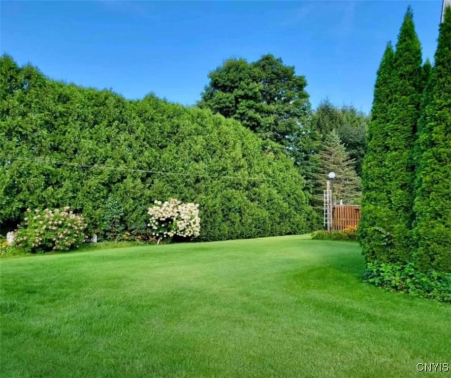 121 Maple Drive, Frankfort, New York image 23