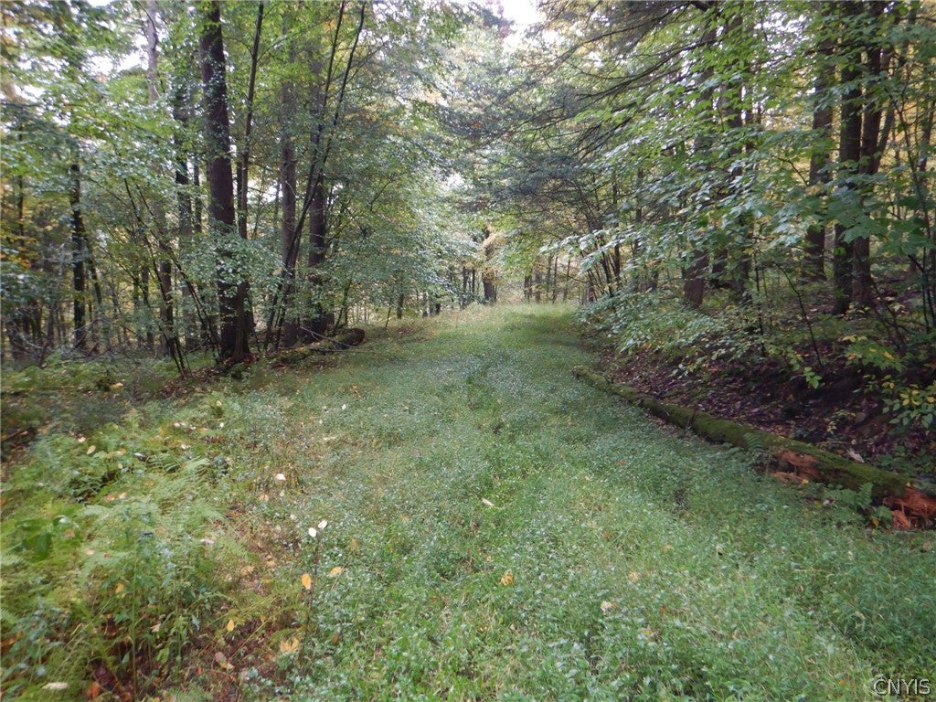 Flanders Hill