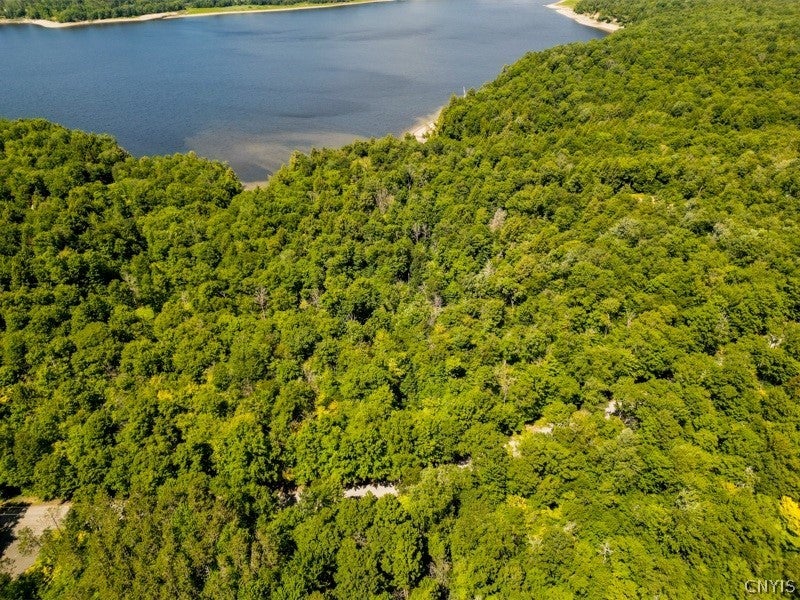Photo of 0 Brady Beach, Russia, NY 13324 (MLS # S1699953)