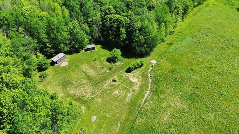 Photo of Sprouls Road, Summerhill, NY 13045 (MLS # S1687744)