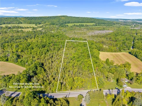 Vacant Land For Sale - Nelson Road<br/> Fenner, NY 13035