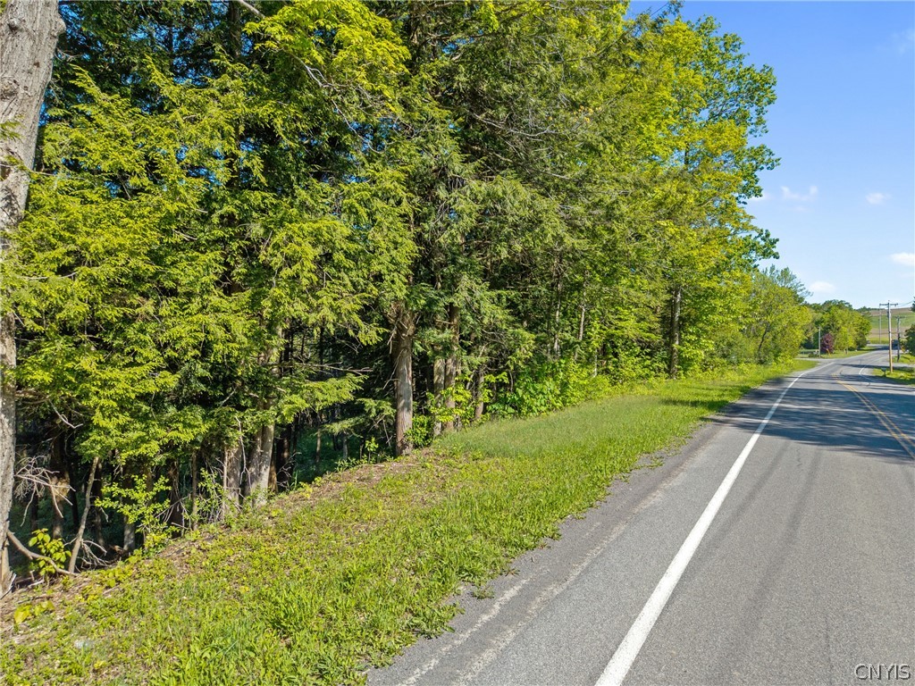 Nelson Road