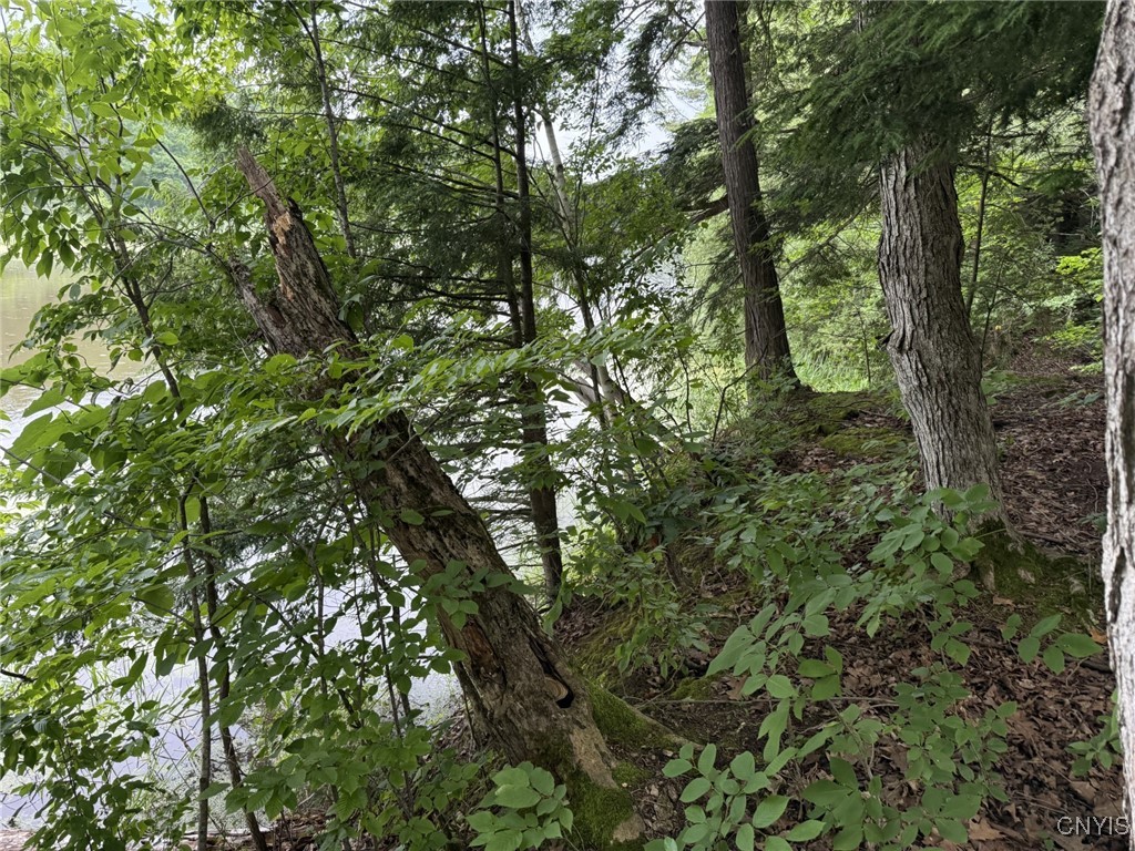 0 Lot C County RT 179