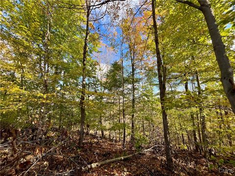 Tiny photo for Hogback Road, Butler, NY 13143 (MLS # S1648616)
