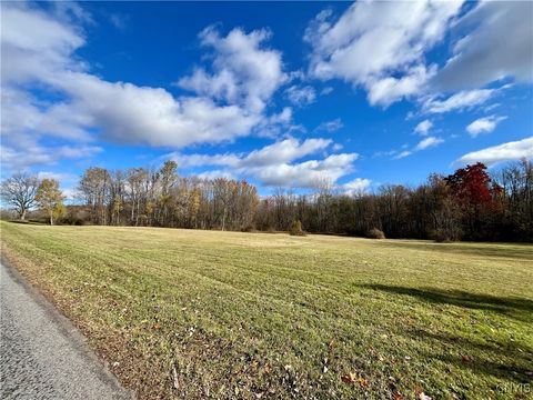 Photo of Hogback Road, Butler, NY 13143 (MLS # S1648616)
