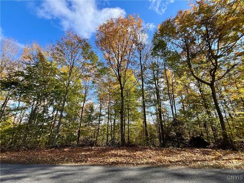 Tiny photo for Hogback Road, Butler, NY 13143 (MLS # S1648616)