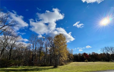 Tiny photo for Hogback Road, Butler, NY 13143 (MLS # S1648616)