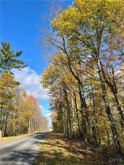 Tiny photo for Hogback Road, Butler, NY 13143 (MLS # S1648616)