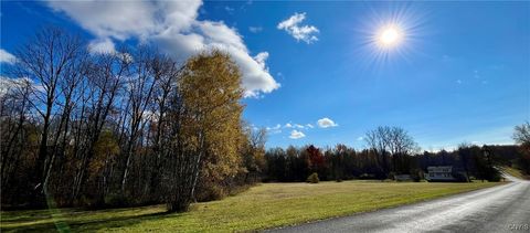 Tiny photo for Hogback Road, Butler, NY 13143 (MLS # S1648616)
