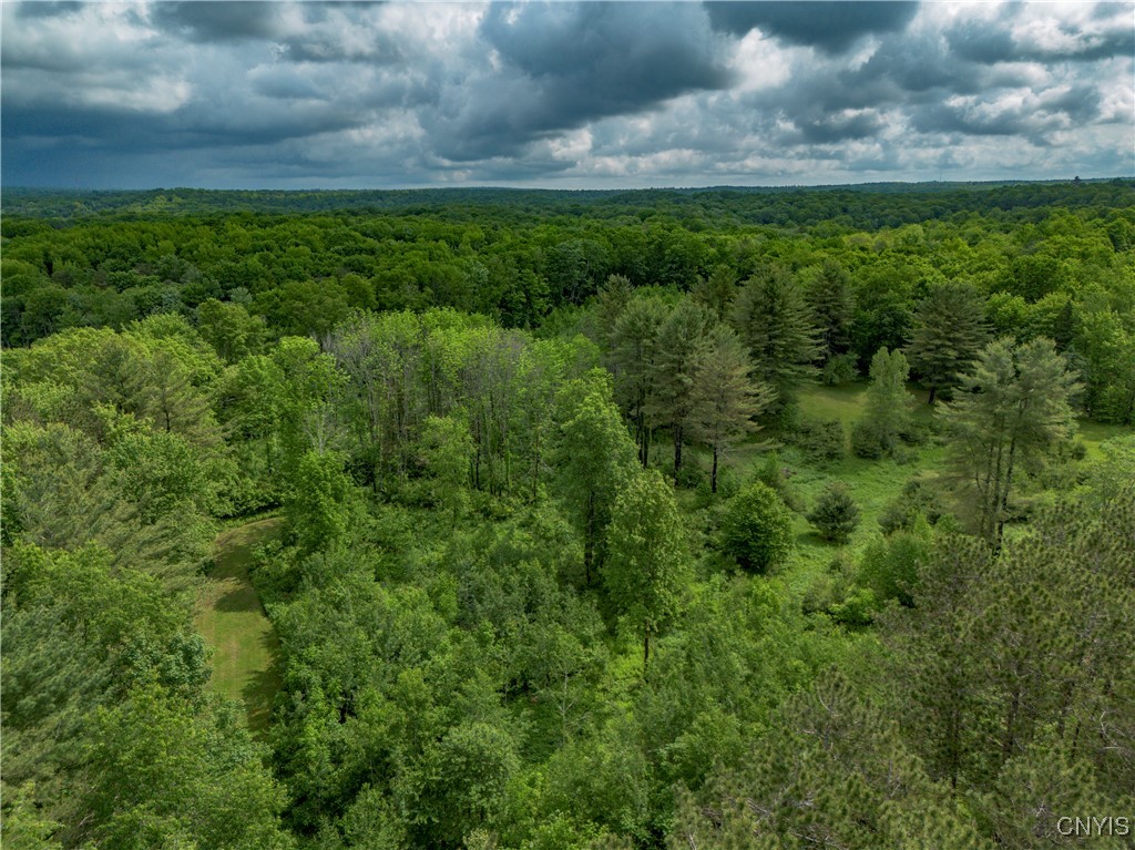 217 Sloperville Road, Albion, New York image 39