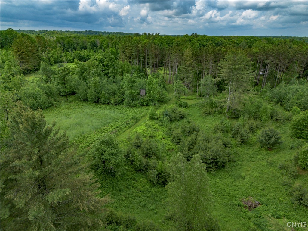 217 Sloperville Road, Albion, New York image 33