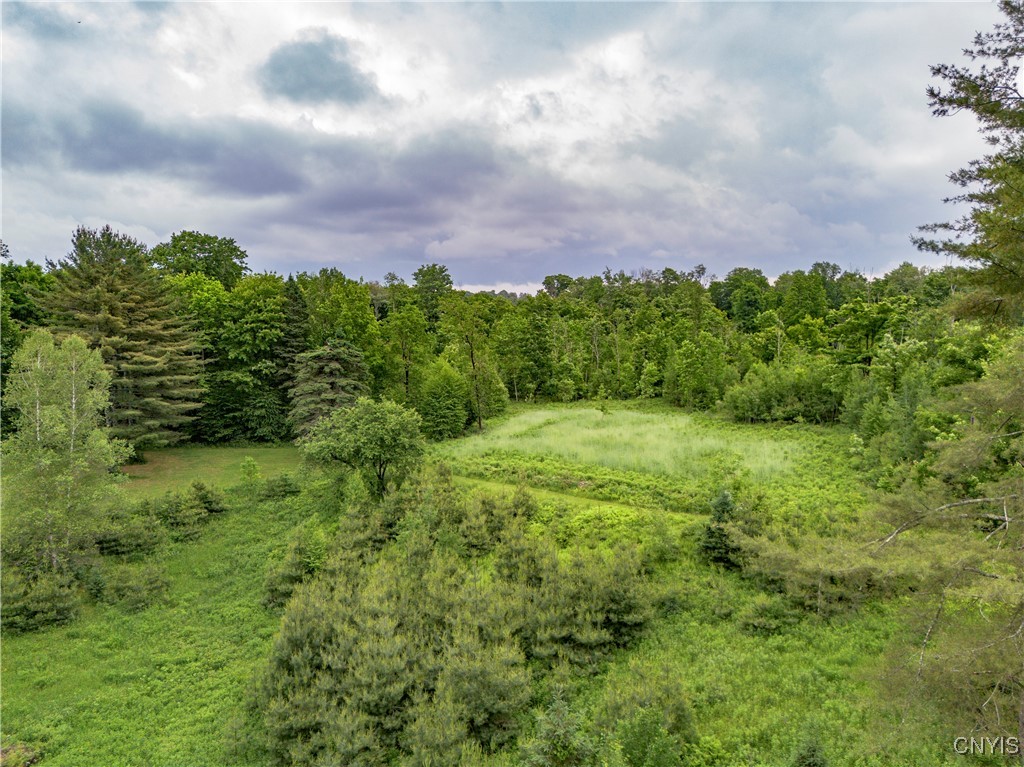 217 Sloperville Road, Albion, New York image 41
