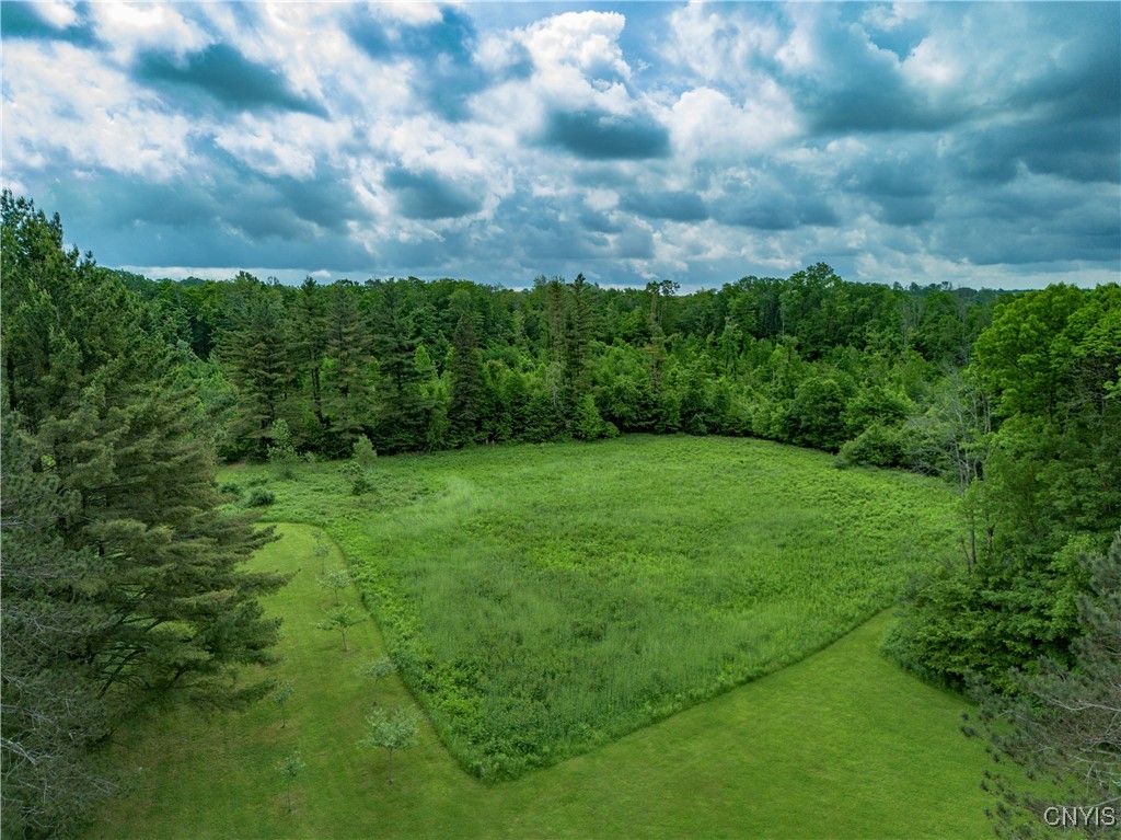217 Sloperville Road, Albion, New York image 34