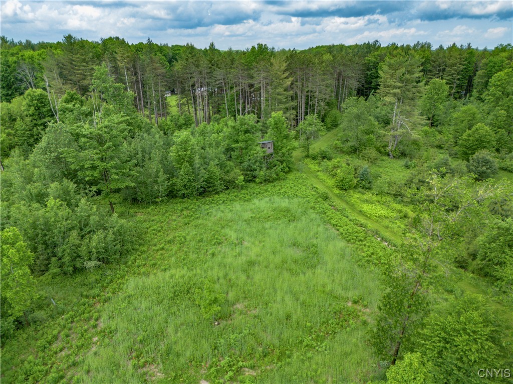217 Sloperville Road, Albion, New York image 32