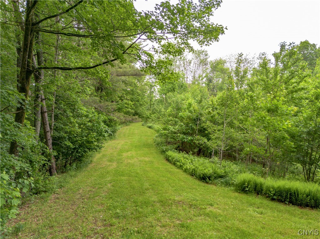 217 Sloperville Road, Albion, New York image 40