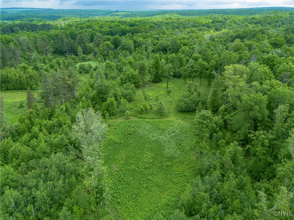 217 Sloperville Road, Albion, New York image 37