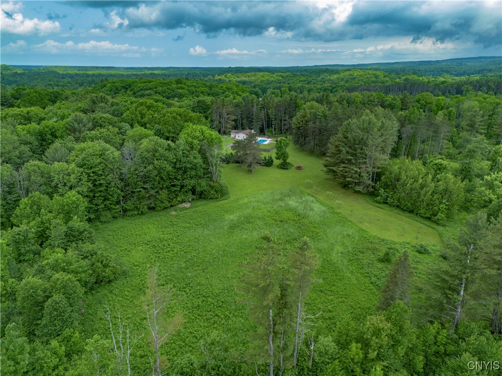 217 Sloperville Road, Albion, New York image 38