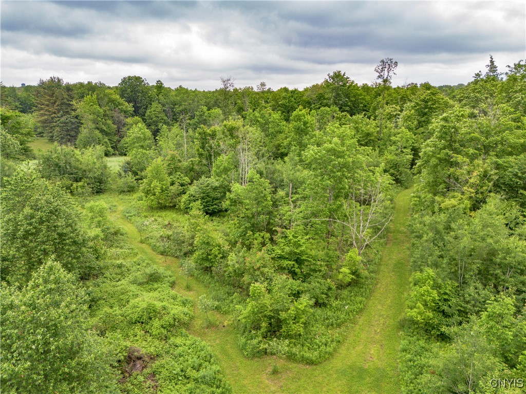 217 Sloperville Road, Albion, New York image 42