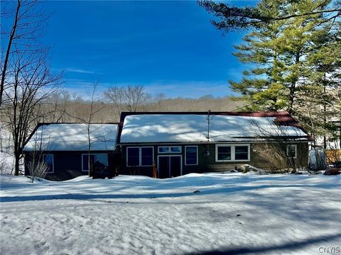 Homes For Sale - 93 S Woods Road #B<br/> Saint Lawrence County, Hammond, NY 13646