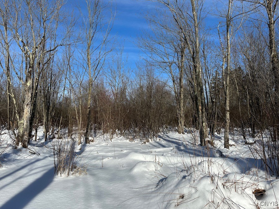 Cobb Drive, Richland, New York image 3