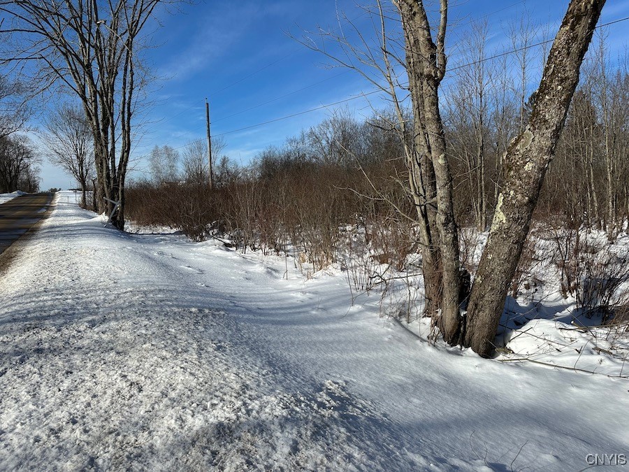 Cobb Drive, Richland, New York image 8