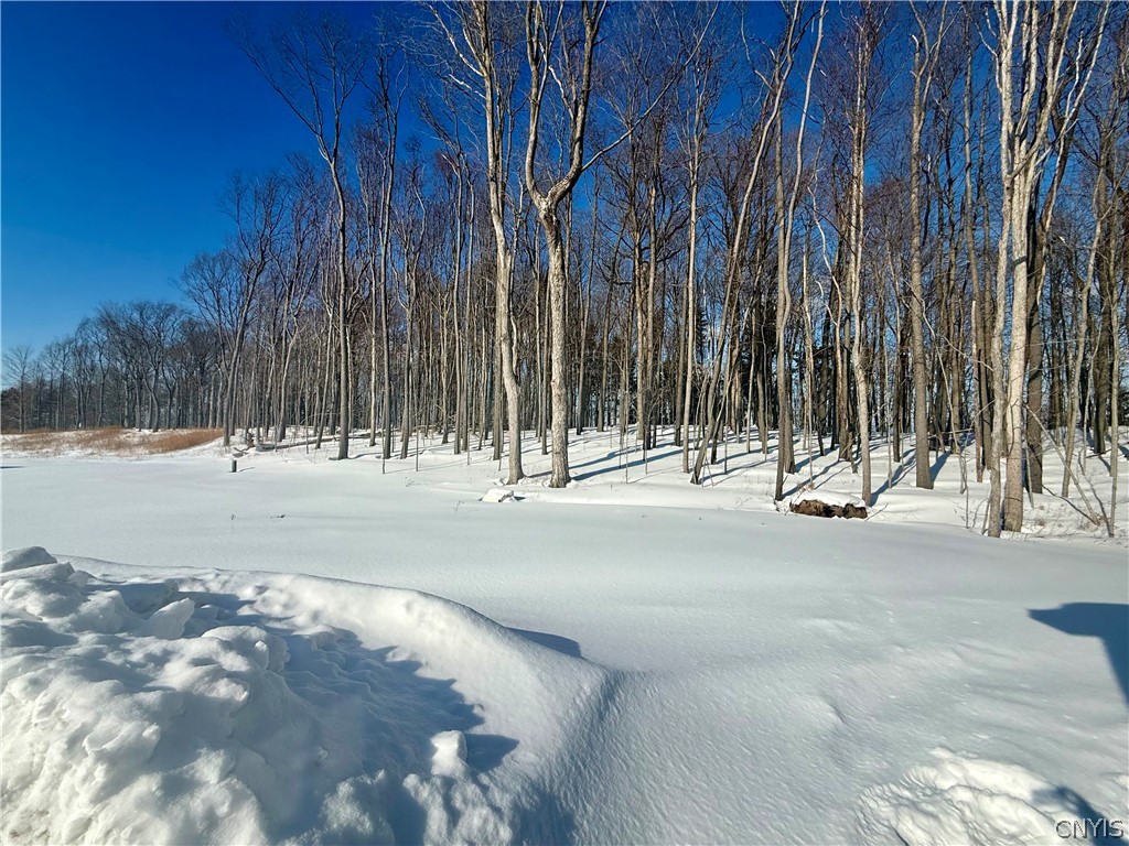 LOT # 2 Harrington Terrace