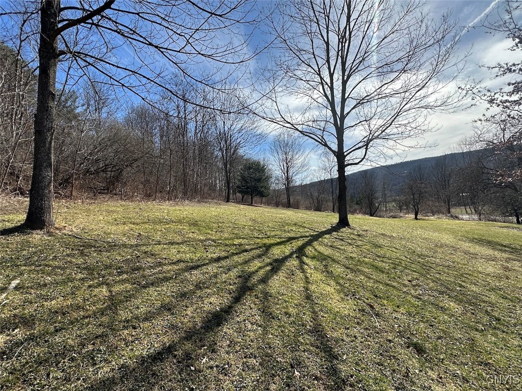 5022 Burt Road, Ischua, New York image 44
