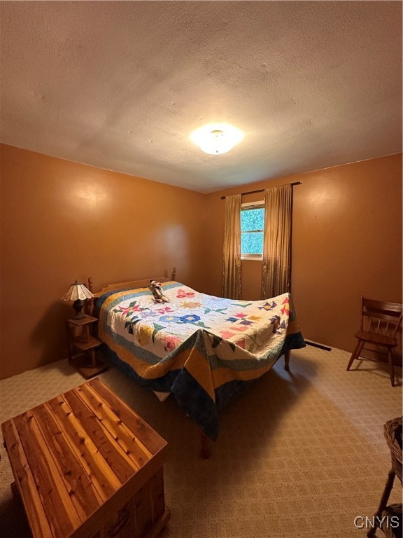 3371 Frederick Road, Madison, New York image 33