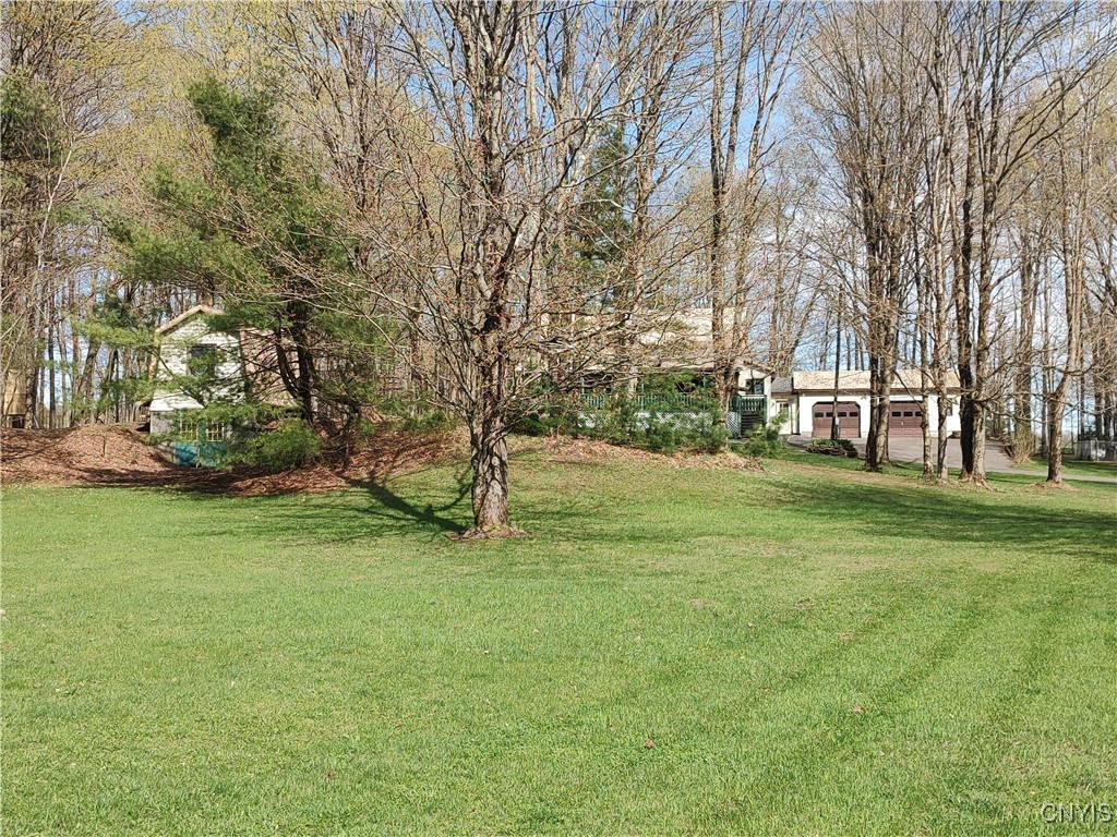 Listing image 4