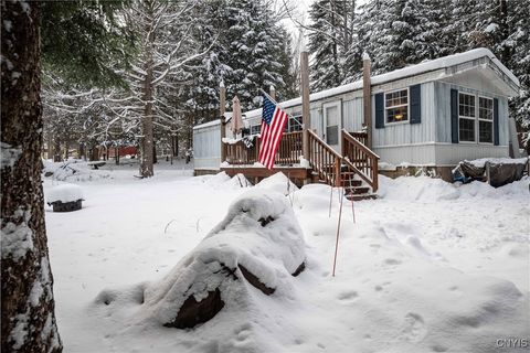 Photo of 16 Deerwood Drive, Inlet, NY 13360 (MLS # S1653285)