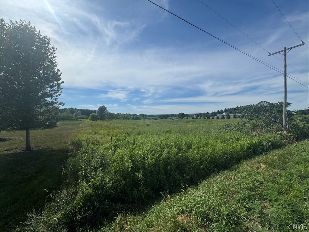 Ives Road